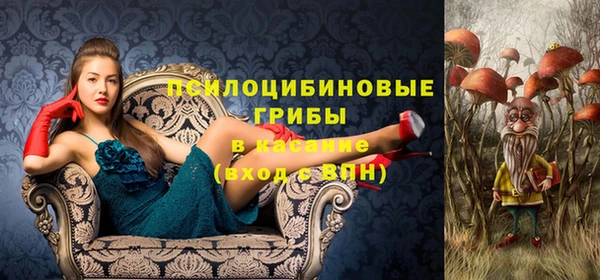 дживик Алексин