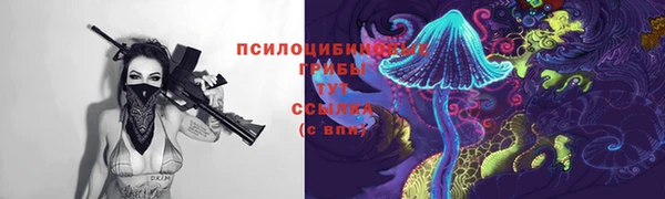 2c-b Алзамай